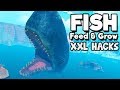 Feed and Grow Fish Gameplay German - SPERM WHALE unendlich groß