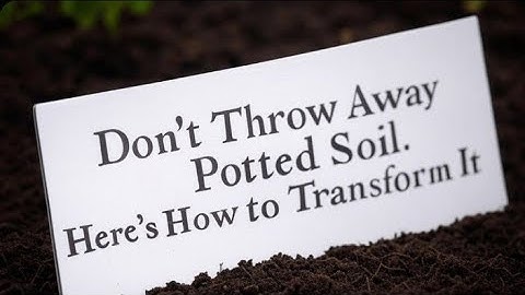 Never Throw Out Old Potting Soil Again -  Refresh and Reuse it to Save TONS of Money