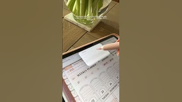 Reminders in your digital planner 🗓️🩷✍🏻 ipad notes | Shortcuts | Journal #ipad #asmr #planner