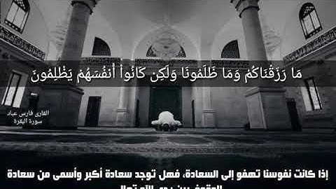 حالات واتس أب دينيه بصوت فارس عباد سورة البقرة