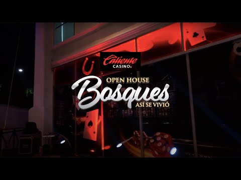 Sígueme en IG perro #parati #casino #apuestas #humor #viralvideo #fyp #foryou