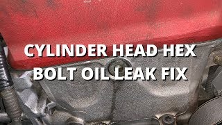 Cylinder Head Hex Bolt Oil Leak Fix | Honda S2000