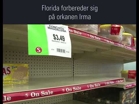 10865 orkanen irma er paa vej  amerikanerne hamstrer mad og benzin