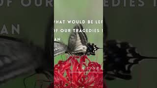 Witty Wisdom #wittywisdom #quotes #life #insects