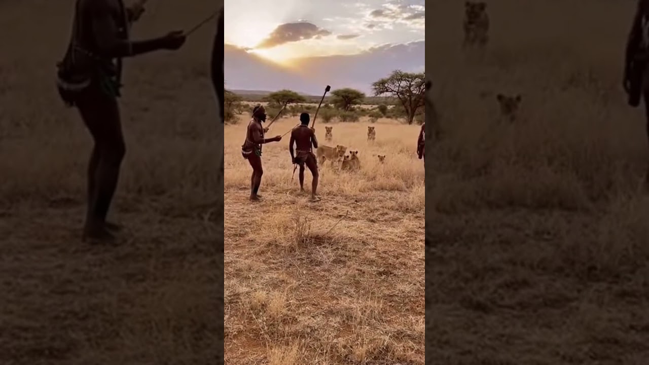 They warns wild animals to go far away from our village😱