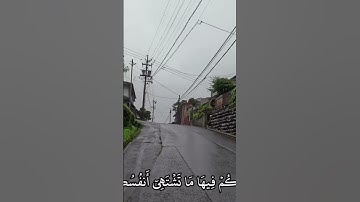 القران الكريم تلاوة ماهر المعيقلي سورة فصلت #المصحف #اكسبلور #راحة_نفسية