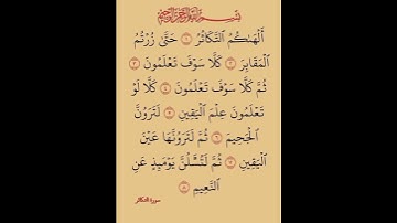سورة التكاثر#قرآن #قران_كريم #لايك #في_سبيل_الله #اكسبلور #آيات #تيك_توك #قرءان_كريم #لله #الحمدلله