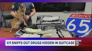K-9 sniffs out drugs hidden in suitcase