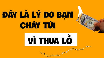 Tại sao đầu tư forex liên tục trader bị thua lỗ và đây là câu trả lời