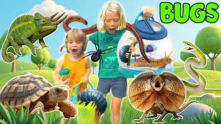 Backyard BUG and CREATURE HUNT for KIDS! 🐞🦎🕷️ Learn About Bugs, Reptiles & More!