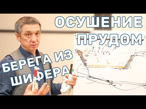 Пруд в низине участка и укрепление берегов. Как можно сделать?