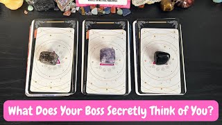 How Does Your BOSS SECRETLY THINK Of You 👩‍💼 Pick a Card Timeless Tarot Love Reading ✨