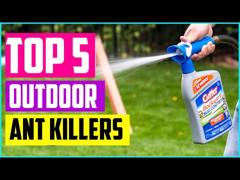 best-outdoor-ant-killers-in-2020---top-5-ant-killers-for-your-lawn-and-garden.