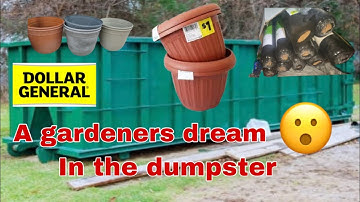DUMPSTER DIVING | A DUMPSTER FULL OF GARDEN SUPPLIES | DUMPSTER QUEEN