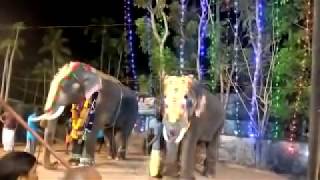 Valiyavila Thalappokkkam 2019