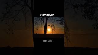 Flamboyan - Iwan Abdurahman