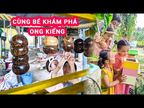 Video Trải Nghiệm Thú Vị Của Bé Với Tổ Ong Cảnh Nuôi Trong... - youtube