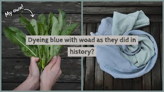 Download Lagu I Tried to Plant Dye With My Own Woad MP3 Download Lagu I Tried to Plant Dye With My Own Woad MP3