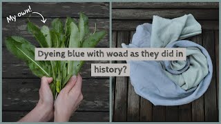 I Tried to Plant Dye With My Own Woad