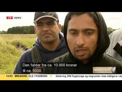Why migrants / " refugees " want Sweden and not Denmark