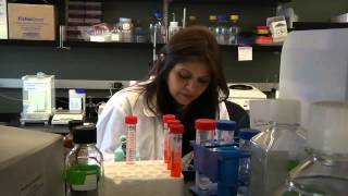Inside UNC Charlotte -- November 2012 -- Research and Economic Development