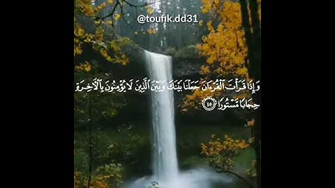 أرح قلبك-قرآن كريم بصوت عبد الرحمان سديس-حالات واتساب دينية -مقاطع دينية قصيرة -مقاطع إنستقرام دينية