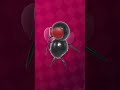 fly edit