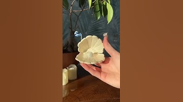 DIY sea shell #diycraftyshivani #diy #craft #diyaccessories #seashellart #shell #clayart#diyseashell