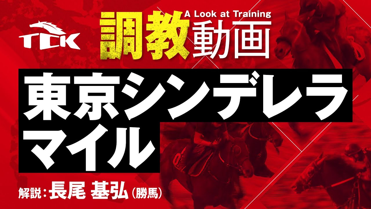 東京 シンデレラ マイル