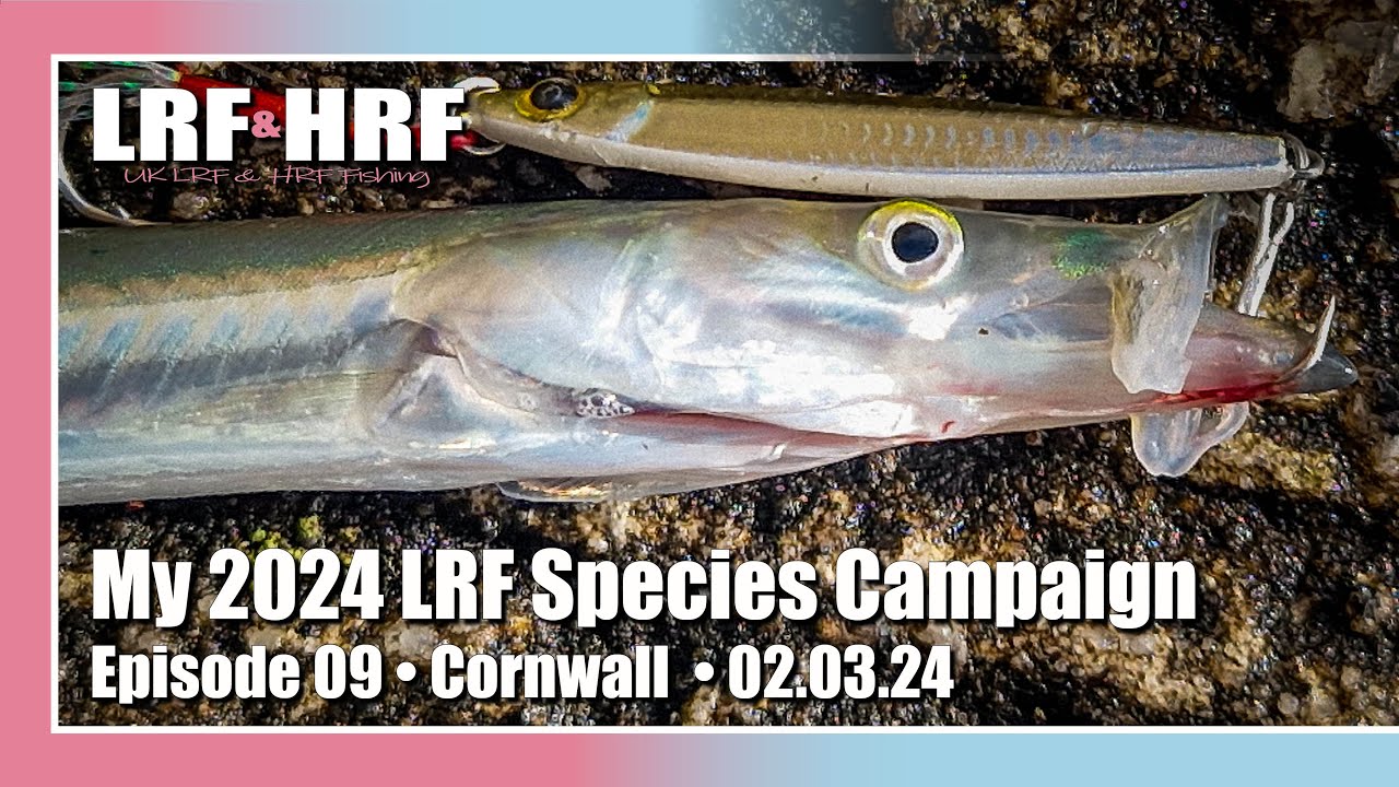 Episode Nine: My 2024 LRF Species Hunt - Cornwall 