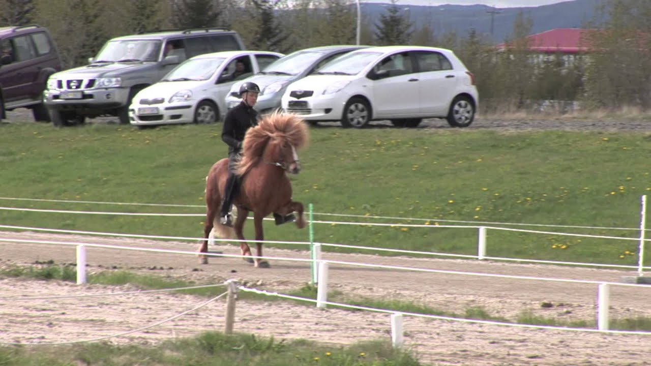 Skýr frá Skálakoti