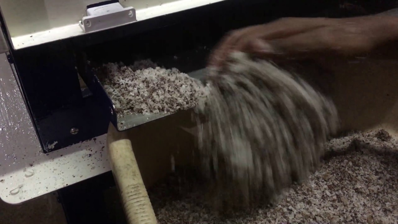 Coconut Testa Paring Peeling Machine