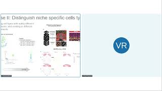 Famous Demo: BANKSY unifies cell typing and tissue domain segmentation for scalable spatial omics analysis Net Worth