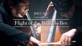 첼로대결!│믿기힘든 역대급 속주.. '왕벌의 비행'🐝 (Flight Of The Bumble-Bee)│Two Cellos (Feat 심준호) / N.rimsky-Korsakov