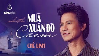 Chế Linh | Mùa Xuân Đó Có Em (Anh Việt Thu) | Nhạc Xuân Bất Hủ