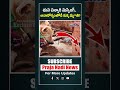 అనారోగ్యంతోనే కుక్క మృ_*తి : Tuni 2 Year Girl Missing Case Updates | Dog Post-Mortem Report #Shorts
