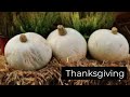 Amish Thanksgiving Celebration: Traditions, Feast, and Recipes Revealed