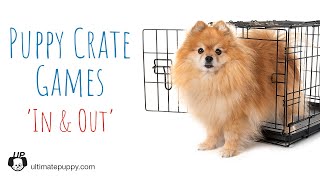 Crate Training Games - In and Out