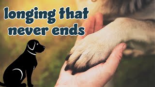 How to Get Over the Loss of a Dog? by Love For Animals 25 views 1 year ago 8 minutes, 30 seconds