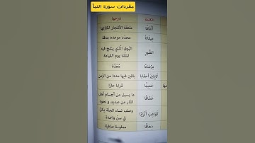 🔴شرح مفردات سورة النبأ للسنة 4 متوسط