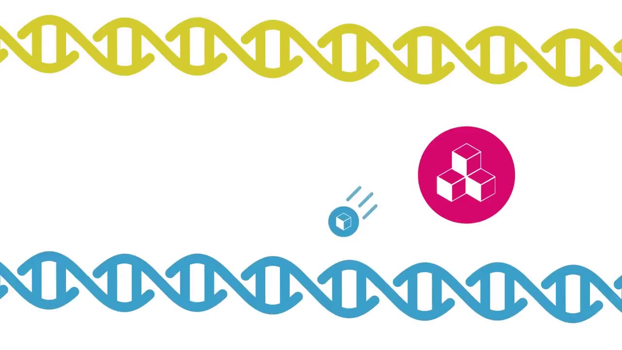 Ardor(아더) BaaS(Blockchain as a Service) Platform 소개
