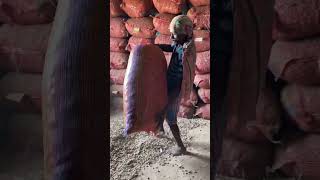 Nut factory Complete process #youtubeshorts #shorts Nut factory Complete process #youtubeshorts #shorts
