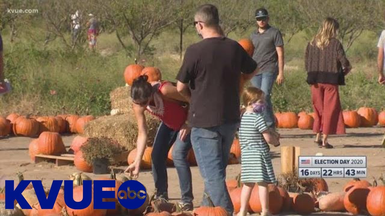 Georgetown's Sweet Eats Fruit Farm ready for pumpkin pickers | KVUE