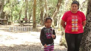 Engineering in Nature with Kindergarteners