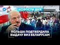 Беларусы получат польские визы / Рекордный урожай грибов в Беларуси // Новости Беларуси