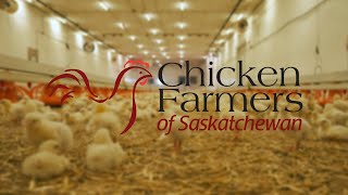 Chicken Farmers of Saskatchewan | Innovation