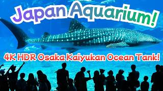 Osaka Aquarium Kaiyukan Ocean Tank 1 Hour OC 海遊館 太平洋水槽