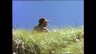 Shadowwalker1995