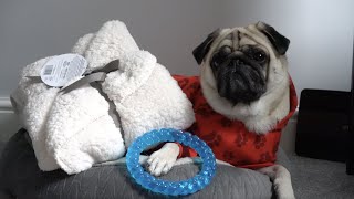 Weekly Vlog #10 | Pablos Birthday!
Its been a rather quiet week this week, Pablos birthday to kick things off and then finished off by 3 days in bed ill for me, not ideal but Ive watched plenty of movies in bed and the boys have been very good keeping me company! :)
Give us a thumbs up if you enjoyed the video and Subscribe if youre not already!
Instagram - https://www.instagram.com/thatpugpablo/
Parents channel -https://www.youtube.com/channel/UC1NnPYTFhVZtFt4oPXFdsnw
Licence;
Intro/Outro Music;
Get Outside! - Jason Farnham: https://youtu.be/x1T6QFpd0J4 Weekly Vlog #10 | Pablos Birthday!