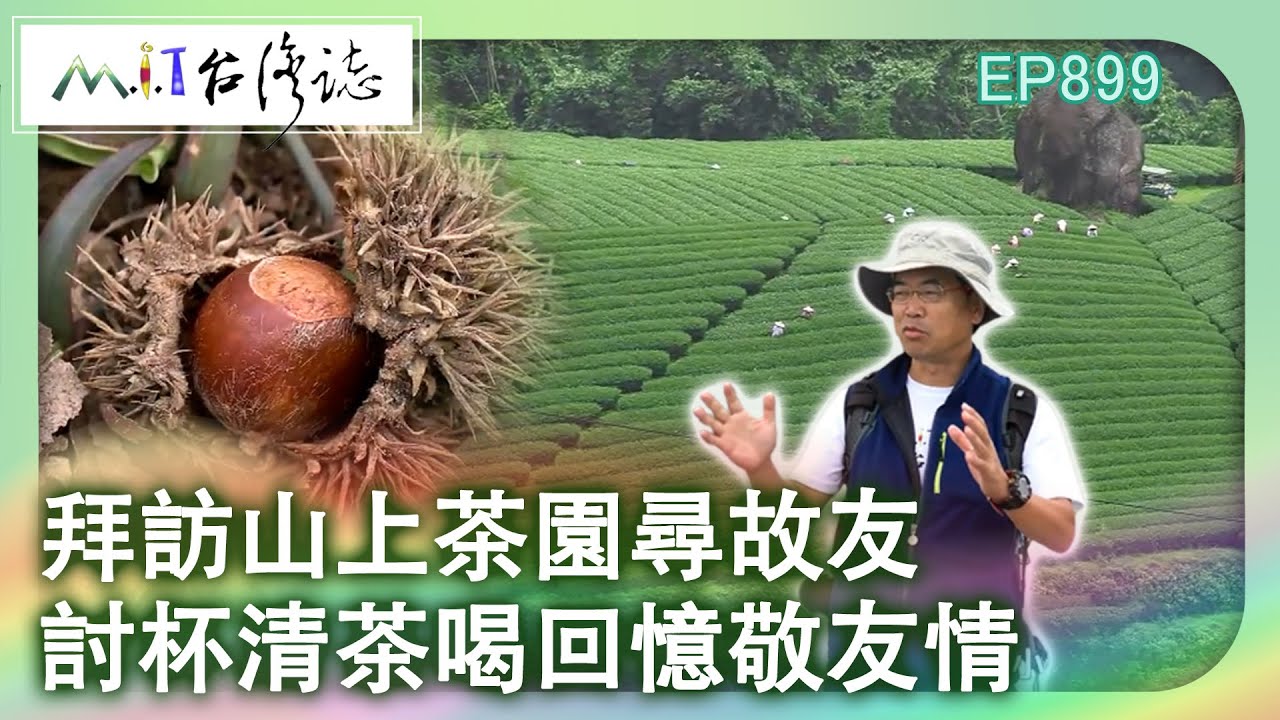 拜訪山上茶園尋故友 討杯清茶喝回憶敬友情｜嘉義縣阿里山鄉 麥覺明【@ctvmit899集】